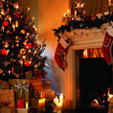 Florile in ziua de craciun